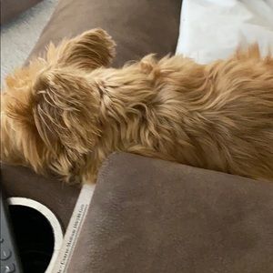 Meet your Posher, Cathy